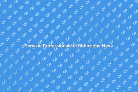 Rimozione Neve: Sicurezza Invernale