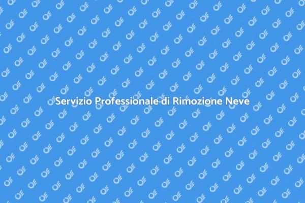Rimozione Neve: Comfort e Sicurezza