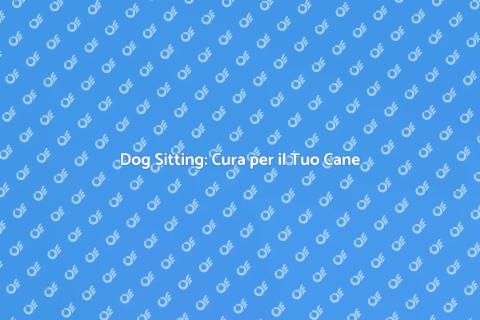 Dog Sitting in Città: Servizio Ideale