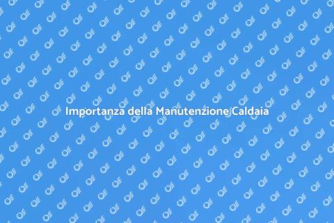 Manutenzione Caldaia a Gasolio