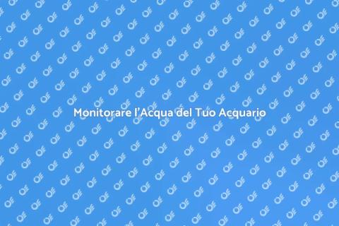 Testare l'Acqua dell'Acquario