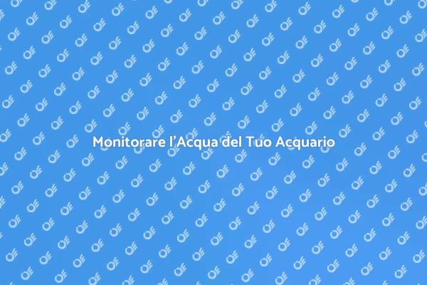 Come Testare l'Acqua dell'Acquario