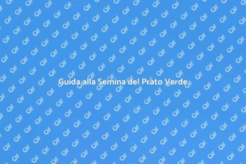 Semina Prato Sostenibile per Giardini