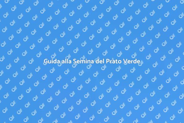 Prato Sostenibile: Guida alla Semina