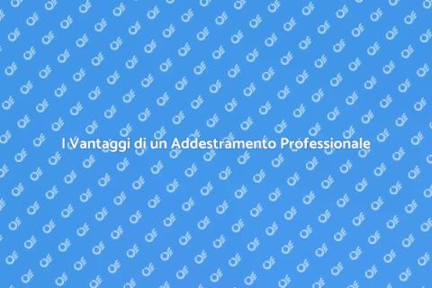Addestratore Cani Professionista per Te
