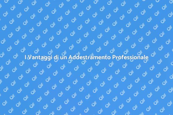 Scegli un Addestratore Canino Esperto