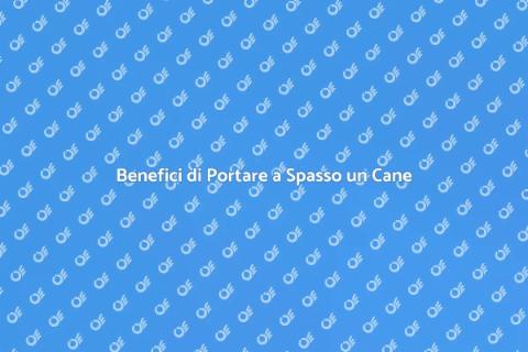 Portare a Spasso un Cane: Benefici