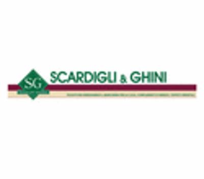 Scardigli e Ghini  - Foto 1
