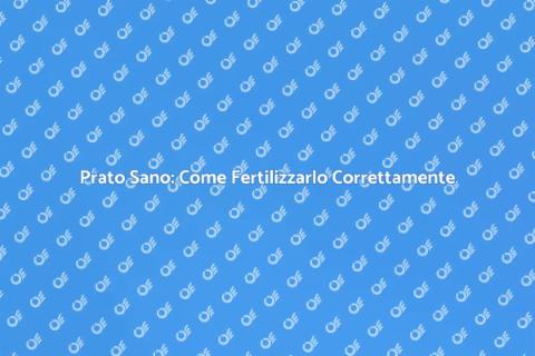 Fertilizzare il Prato: Guida Essenziale