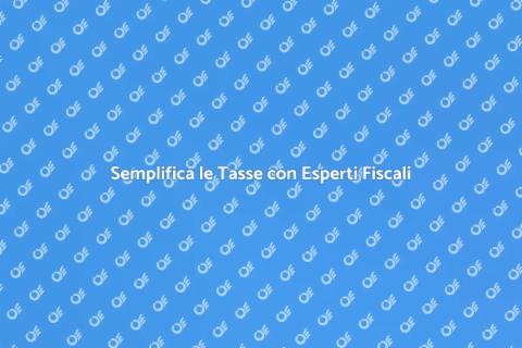Consulenza Fiscale: Semplifica le Tasse