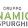 Dinamica Spurghi 