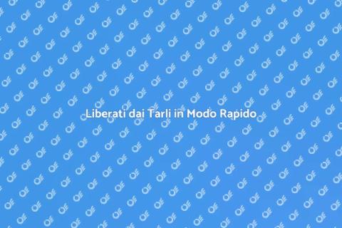 Disinfestazione Tarli Veloce e Efficace