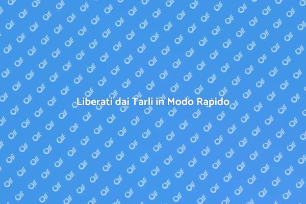 Disinfestazione Veloce dai Tarli