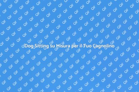 Dog Sitting Professionale e Ad Hoc