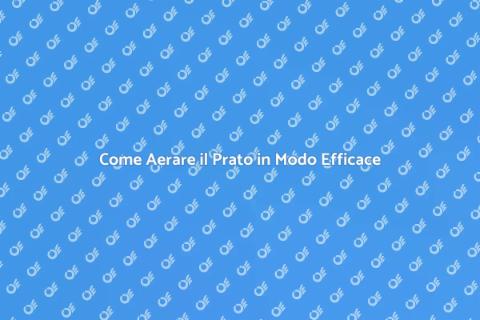 Aerare il Prato per una Crescita Sana