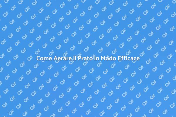 Aerazione del Prato: Guida Pratica