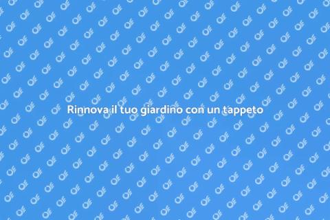 Stendere un tappeto erboso per il giardino