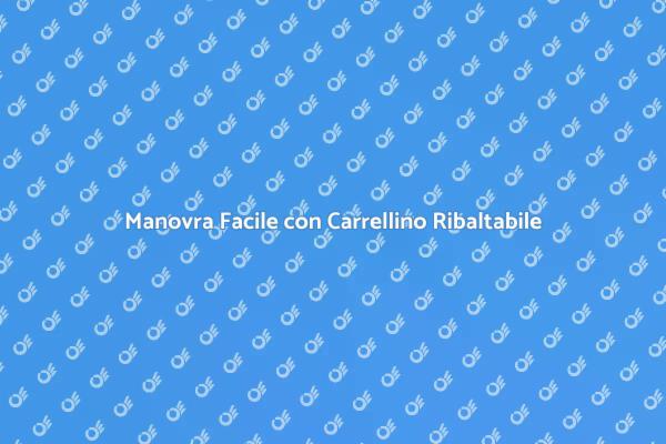 Carrellino Ribaltabile: Un Aiuto Quotidiano