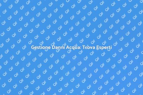 Appaltatori per Danni da Acqua