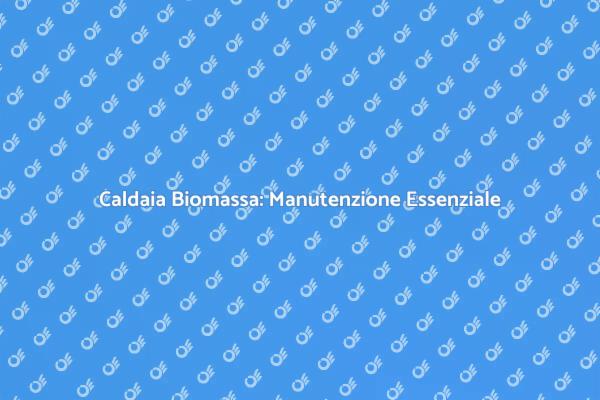 Manutenzione Caldaia a Biomassa: Importanza