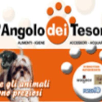 L'Angolo dei Tesori