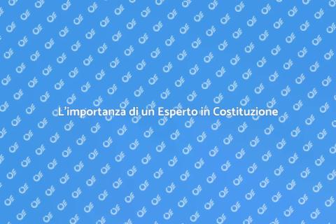 Consulenza Esperto in Costituzione