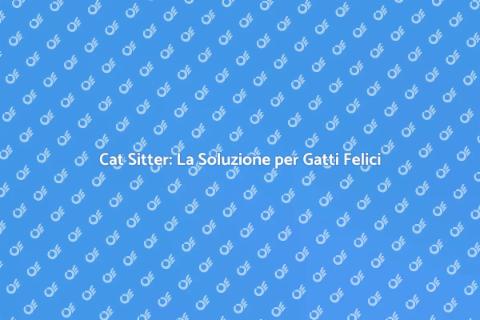Cat Sitter: Il Servizio per Gatti