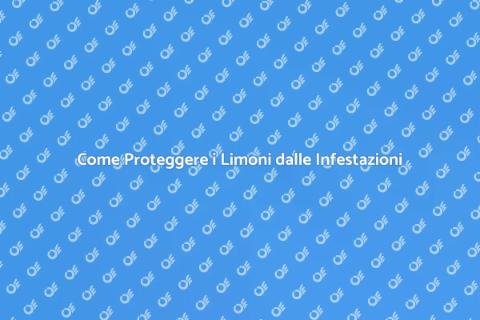 Prevenire Infestazioni Limone