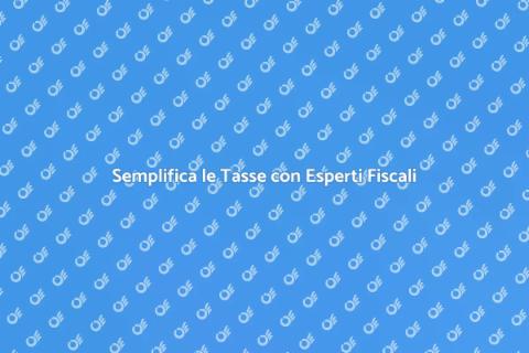Consulenza Fiscale: Semplifica le Tasse