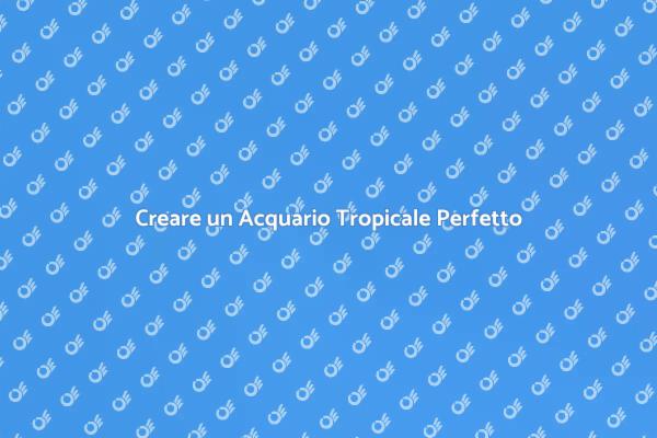 Allestire il Tuo Acquario Tropicale