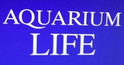 Aquarium Life  - Foto 1