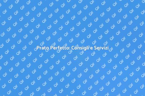 Cura del Prato: Trasforma il Tuo Verde