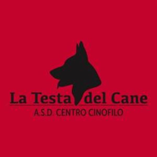 Centro Cinofilo La Testa del Cane - Foto 1