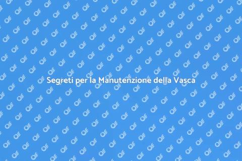 Manutenzione Vasca Idromassaggio