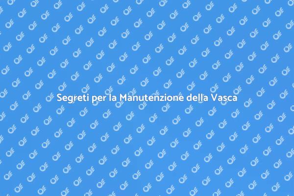 Manutenzione della Testata della Vasca