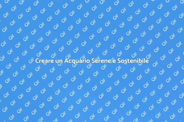 Come Creare un Acquario Sereno