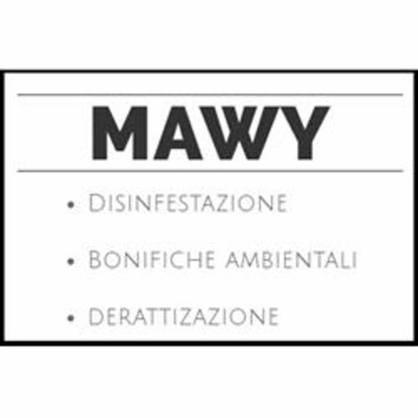 Mawy - Disinfestazione Derattizzazione  - Foto 1