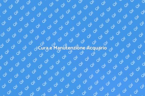 Manutenzione di un Grande Acquario