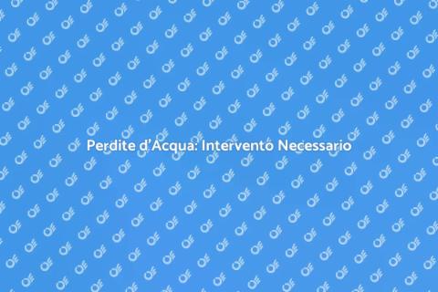 Riparazione Perdite: Sicurezza Casa