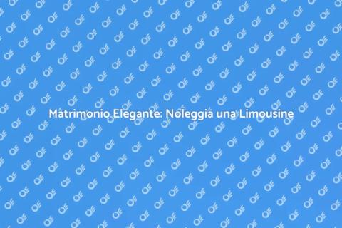 Noleggia un Autista con Limousine