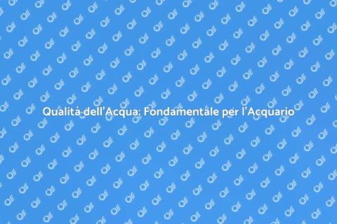 Controllo Qualità Acqua Acquario