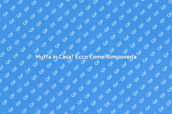 Combatti la Muffa: Scopri le Soluzioni