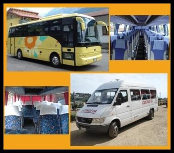 Cucinotta Michele Noleggio Bus Sas  - Foto 4