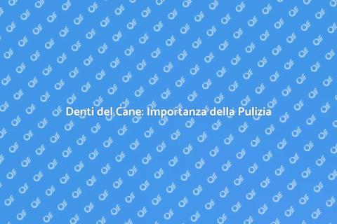 Pulire Denti del Cane: Salute Essenziale