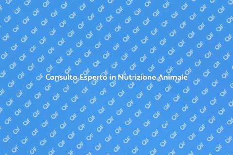 Nutrizione Animale: Consulenza Esperta