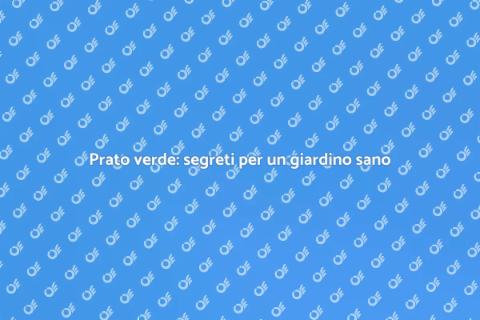 Semina del prato per un ambiente sano