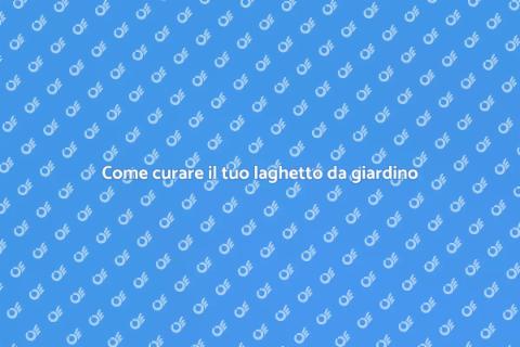 Manutenzione laghetto da giardino