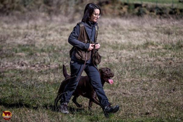 Il Segno di Fido - asd cinofila Mugello e Firenze - Foto 10