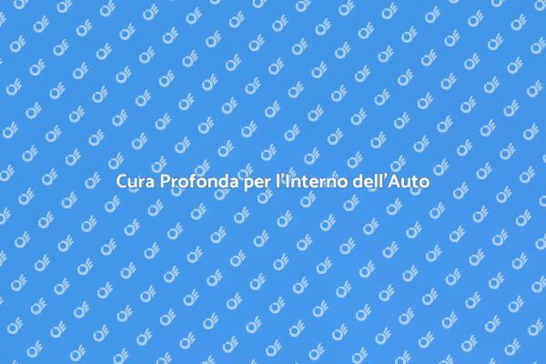 Mantieni la Tua Auto Sempre Pulita