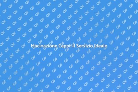 Servizio Professionale di Macinazione